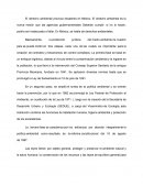 El derecho ambiental provoca desastres en México