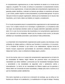 Ensayo comportamiento organizacional