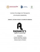 Plan de negocios, Estudio técnico y de impacto ambienal