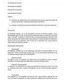 Mercadotecnia analítica . Reporte de Focus group