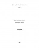 Formas de tratar a un cliente