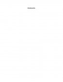 El desarrollo del curriculum