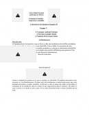 Laboratorio de Química Orgánica II m-Nitrobenceno