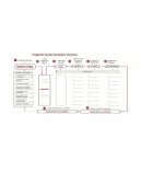 Diagnóstico integral centrado en las Niñas Niños y Adolescentes