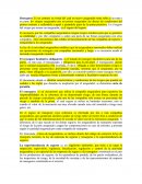 Clasificación de seguros de transporte