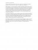 Imaginación y Visualización