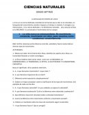 La movilidad en tiempo de covid