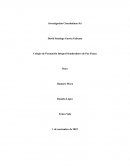 Investigación Chocolatinas Jet