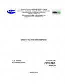 Modelo de autoorganización