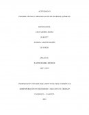 Informe técnico: identificación de peligros químicos