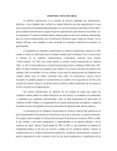 Auditoria a nivel mundial