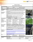 Ficha técnica - Obras viales consesionadas Chile