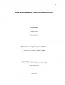 Estudio de caso organizacional: Análisis de la evaluación del entorno