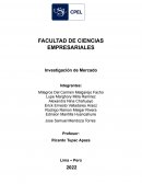 Investigación de Mercado, marca CANBO