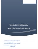 Trabajo de investigación y desarrollo de matriz de riesgos