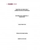Distribucion comercial y marketing. Caso práctico