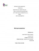 Microprocesadores