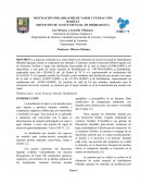 Destilación por arrastre de vapor y extracción soxhlet. Obtención de aceite esencial de hierbabuena