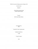 Ensayo Ikigai capitulo 1-2-3