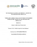 Mercado laboral para los futuros contadores públicos del instituto tecnológico de Tehuacán