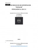 Plan de negocios de exportación “Pistache”