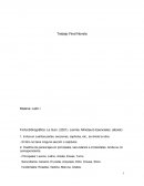 Trabajo final novela del libro Lavinia