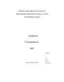 Análisis Constitucional