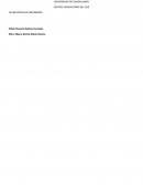 Nutrióloga. Elaboración de una dieta por equivalentes