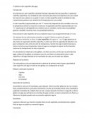 Práctica calor específico del agua