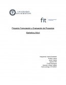 Evaluación de proyecto