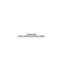 Análisis y Descripción de Puestos de Trabajo. Caso 1: Flux, S.A.