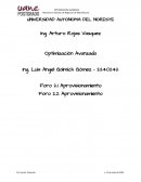 Optimizacion avanzada