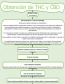 Obtención de THC y CBD