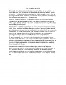 Psicologia infantil