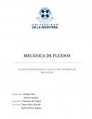 Fluido newtoniano y cálculo de número de Reynolds