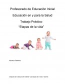Trabajo Práctico “Etapas de la vida”