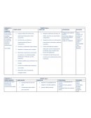 Planificacion anual de lengua para 1 grado