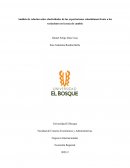 Análisis de relación sobre elasticidades de las exportaciones colombianas frente a las variaciones en la tasa de cambio