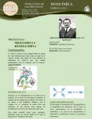 Estructura de las proteinas