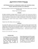 Demanda Química de Oxígeno (DQO)