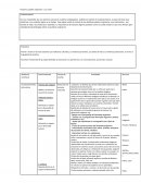 Pueblos originarios "Los collas"