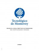 Concepto de recursos y capacidades