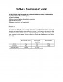 Tarea 1: Programación Lineal