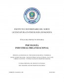 Psicología Industrial/Organizacional