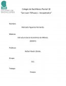 Estructura Socio Económica de México