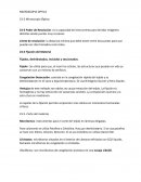 Microscopía Óptica