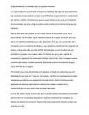 Experimentación en animales para el egoísmo humano