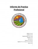 Informe Práctica profesional. La carrera Técnico en Geología y Control de Sondajes