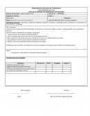 Naturaleza macro, micro y submicro