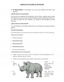 Animales en peligro de extención